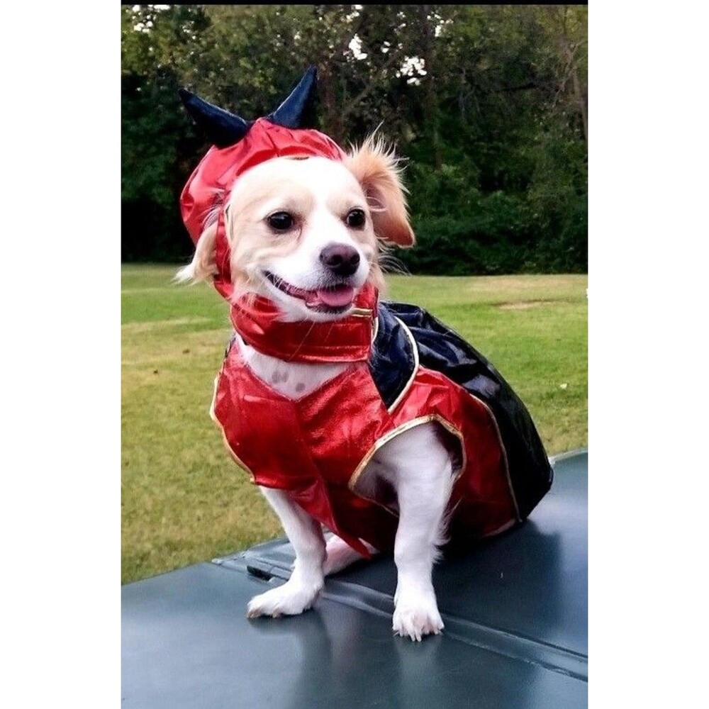Halloween Dog Costume - Red Devil - Size Medium